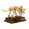 Zabawka dla dzieci Zestaw klocki Szkielet Dinozaura TRICERATOPS 317 szt.