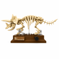 Zabawka dla dzieci Zestaw klocki Szkielet Dinozaura TRICERATOPS 317 szt.